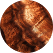 Cherry Wood