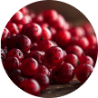 Red Berries