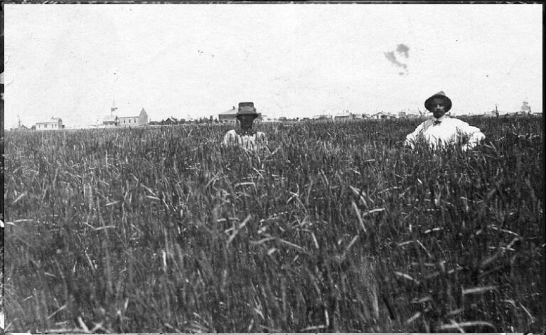 Early American rye farmers in western Pennsylvania