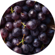 Concord Grapes